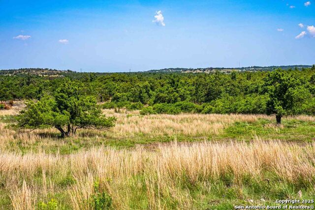 0596 Ruger Rd., Fredericksburg, Texas image 9