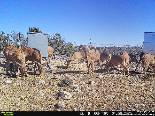 000 Marvin Road, Comstock, Texas image 35