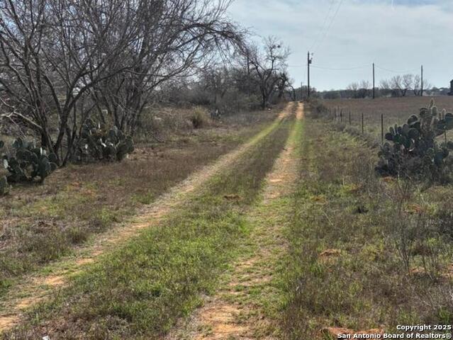 946 County Road 2863, Bigfoot, Texas image 8