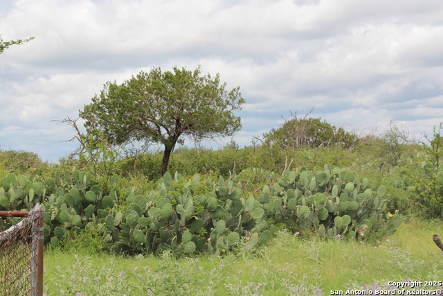 3093 County Road 429, Uvalde, Texas image 35
