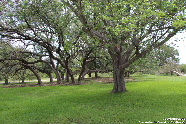 3093 County Road 429, Uvalde, Texas image 42