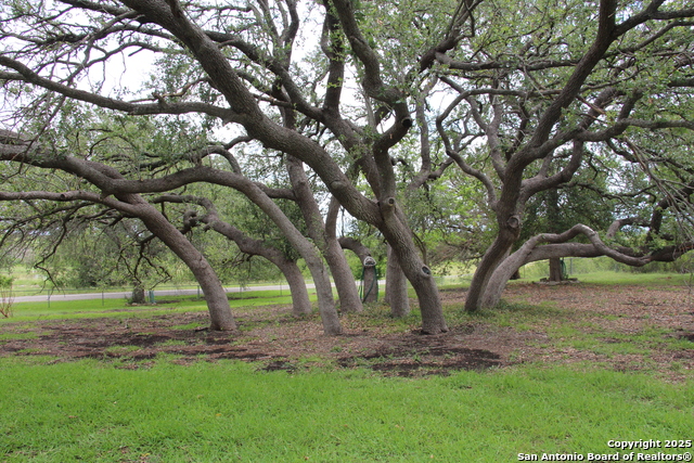 3093 County Road 429, Uvalde, Texas image 43