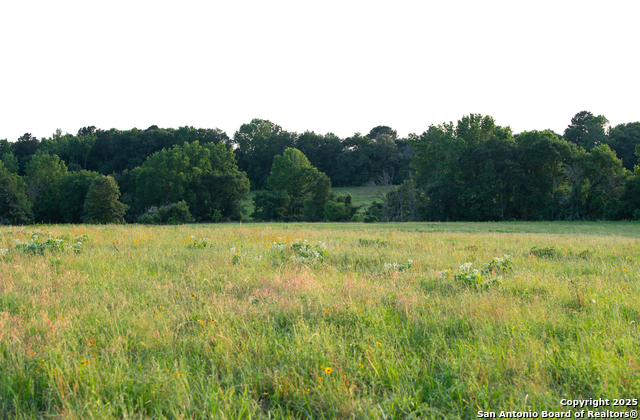 000 County Road 120, Centerville, Texas image 8