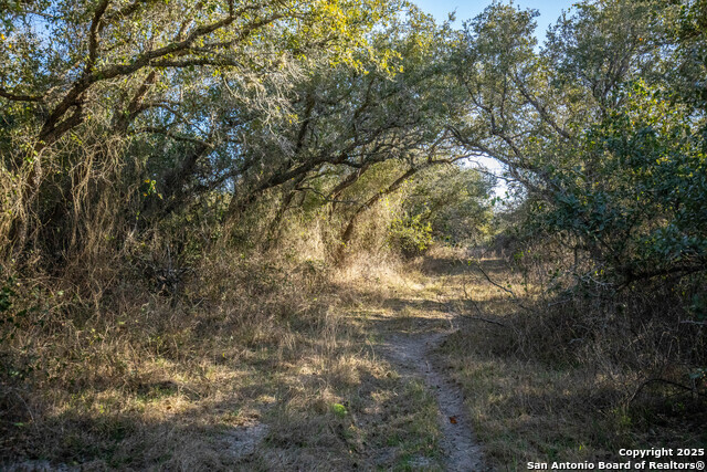 6498 Hwy 35 N, Rockport, Texas image 47