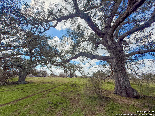 3113 Hannessee Rd, Yoakum, Texas image 14