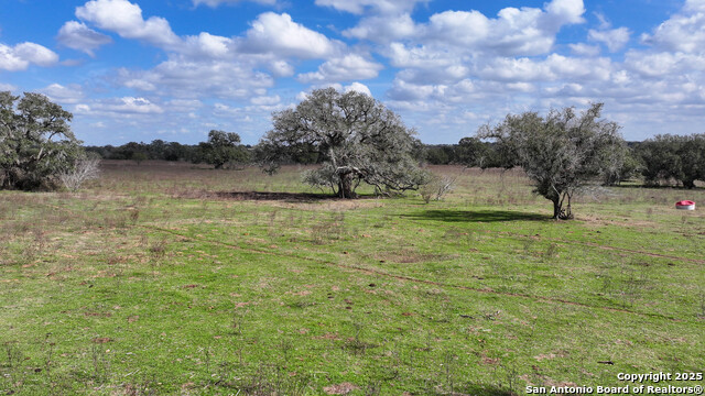3113 Hannessee Rd, Yoakum, Texas image 6