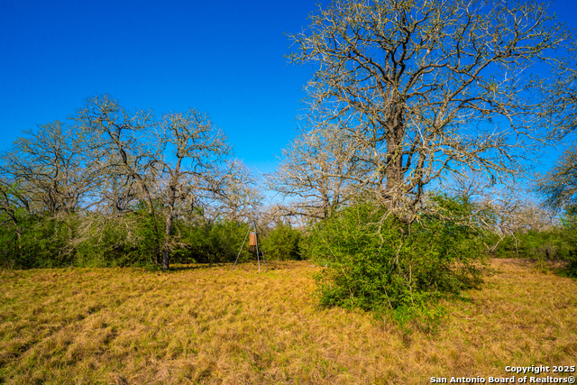 1777 Fm 1361, Somerville, Texas image 43