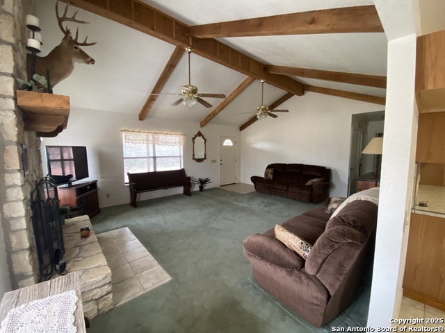 1300 Cattail Rd., Leakey, Texas image 19