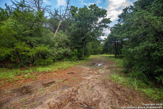 10791 Roy Road, Flatonia, Texas image 27