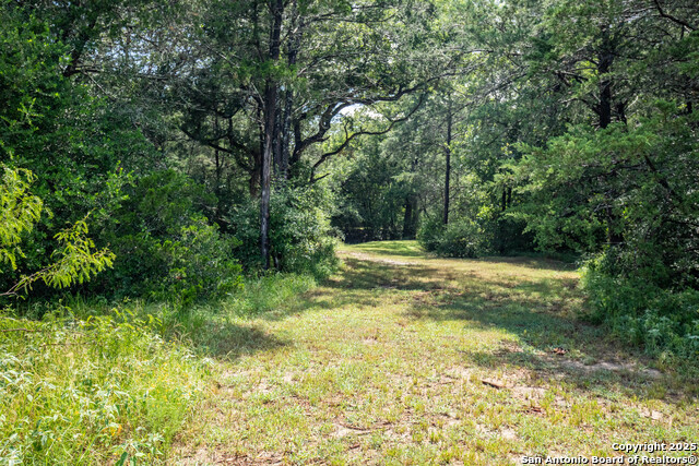 10791 Roy Road, Flatonia, Texas image 40