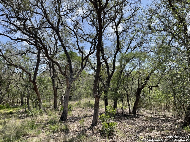 1191 Cr 241, Hondo, Texas image 5