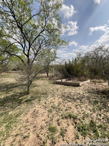 TBD Cr 103 & 173, Alice, Texas image 4