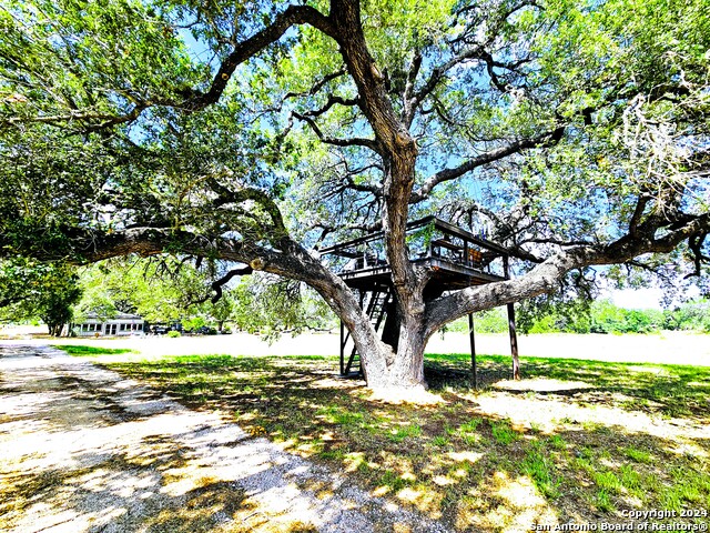 804 County Road 6612, Devine, Texas image 43