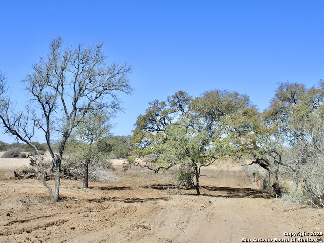 744 Fm 2146, Poteet, Texas image 11