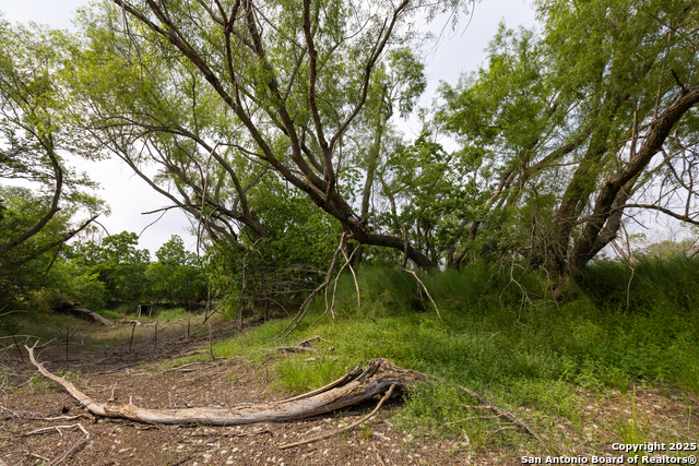 00 Shepherd Rd, Atascosa, Texas image 16