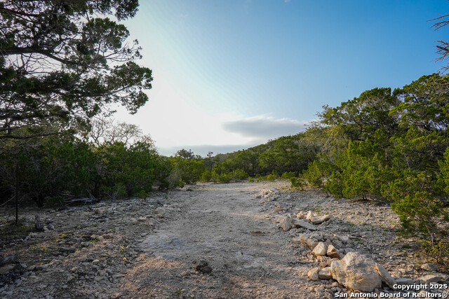3939 Bear Springs, Pipe Creek, Texas image 30