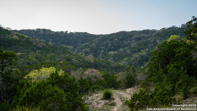 3939 Bear Springs, Pipe Creek, Texas image 37