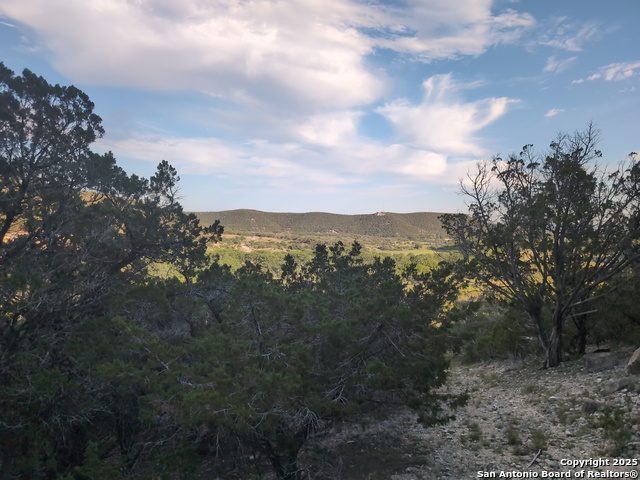 443 Moseley, Medina, Texas image 47