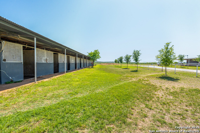 10023 Fm 1303, Floresville, Texas image 7