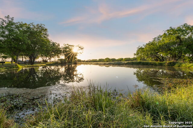4416 County Road 117, Floresville, Texas image 12