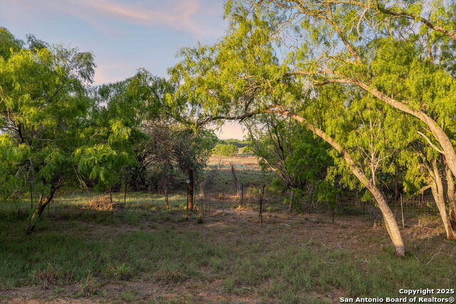 4416 County Road 117, Floresville, Texas image 20