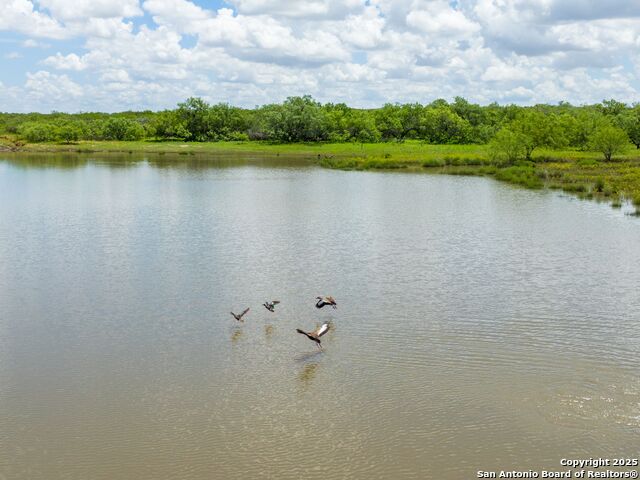 200-236 Fm 3252, Carrizo Springs, Texas image 24
