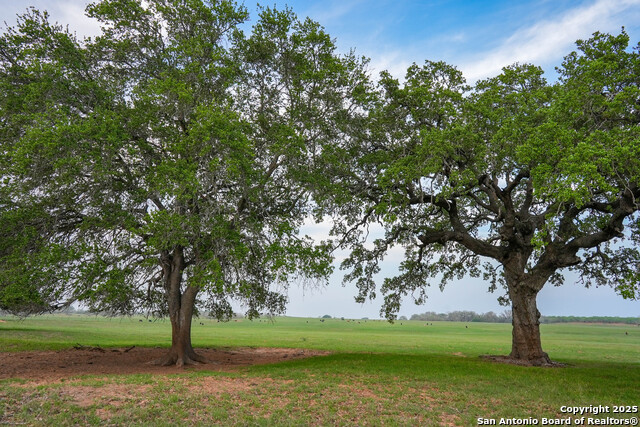 TBD County Road 404, Floresville, Texas image 25