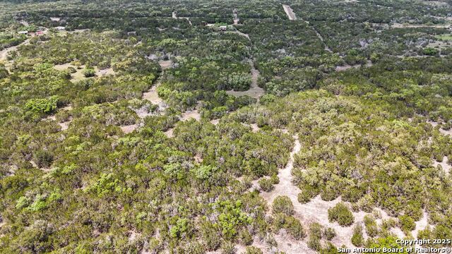 1474 Pr 233, Hondo, Texas image 45