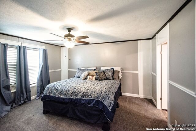 488 Union Wine, New Braunfels, Texas image 21