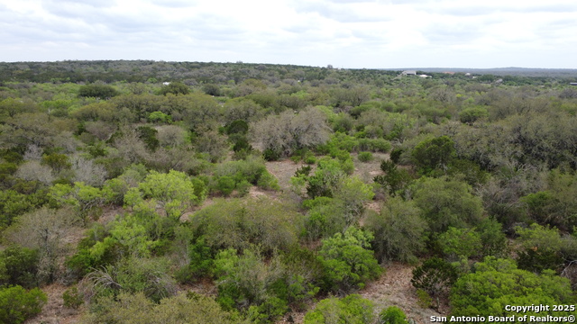 234 Pvt Rd 5000, Utopia, Texas image 19