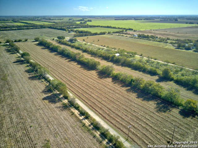 - Concordia, Cibolo, Texas image 7