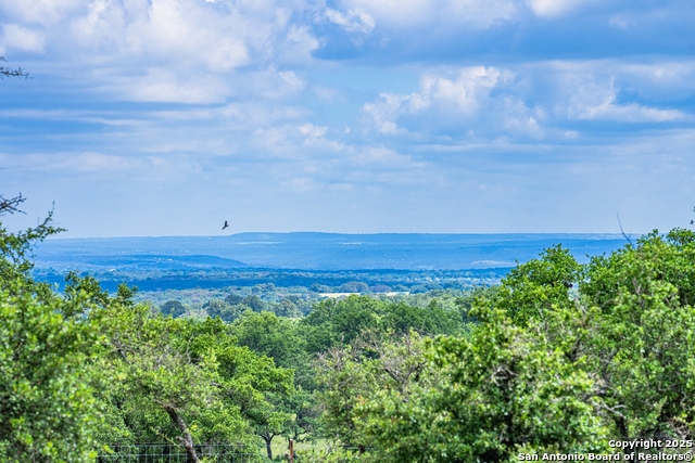3101 Shovel Mountain, Round Mountain, Texas image 32
