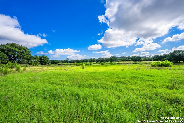 3101 Shovel Mountain, Round Mountain, Texas image 37