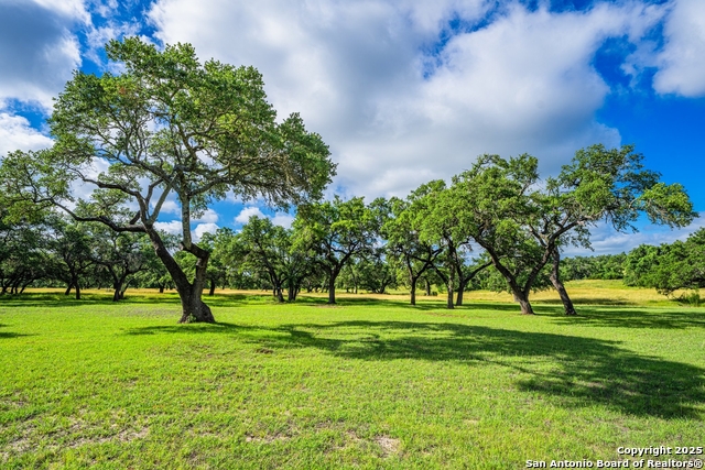 3101 Shovel Mountain, Round Mountain, Texas image 38