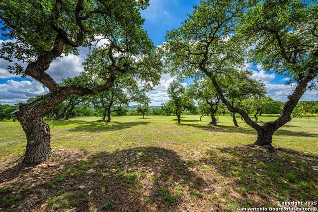 3101 Shovel Mountain, Round Mountain, Texas image 41