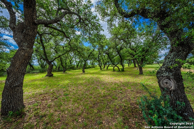3101 Shovel Mountain, Round Mountain, Texas image 42