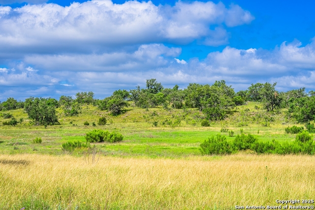 3101 Shovel Mountain, Round Mountain, Texas image 43