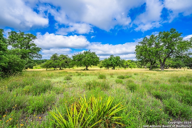 3101 Shovel Mountain, Round Mountain, Texas image 44