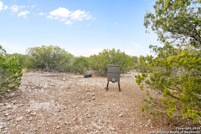 87 Mutt Road, Brackettville, Texas image 13