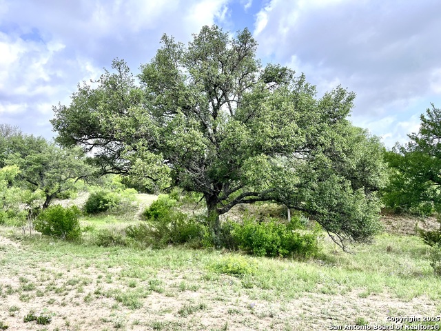 1155 Razor Ridge Rd, Junction, Texas image 34