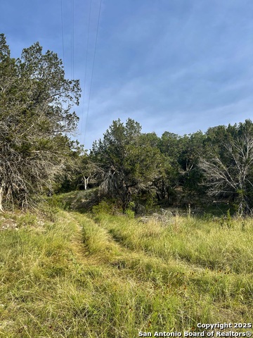 TBD Rr 2169, Junction, Texas image 14