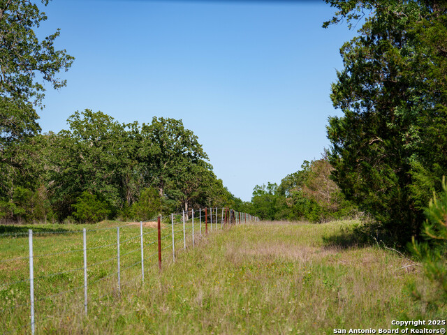 TBD Nink Road, Smithville, Texas image 18