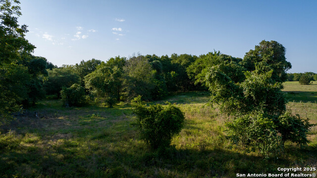 TBD Nink Road, Smithville, Texas image 37