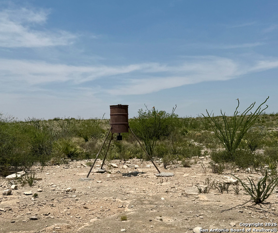 TBD Other, Sanderson, Texas image 16