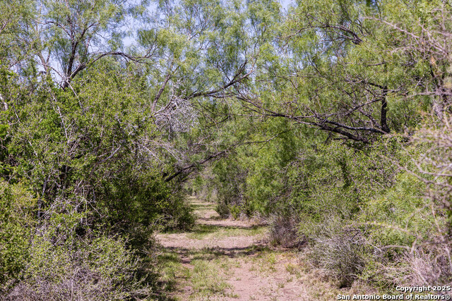 2737 Hindes Ranch Rd, Fowlerton, Texas image 20