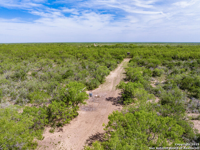 2737 Hindes Ranch Rd, Fowlerton, Texas image 24