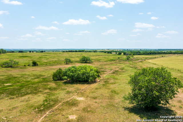 3407 Fm 743, Kenedy, Texas image 25