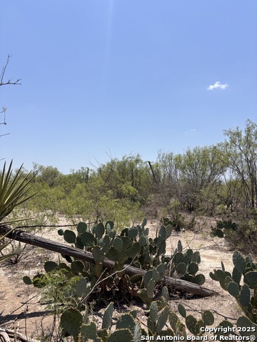 793 W Fm 1986, La Pryor, Texas image 23