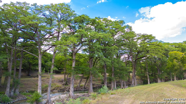 TRACT 5 46 Fm 1621, Comfort, Texas image 7