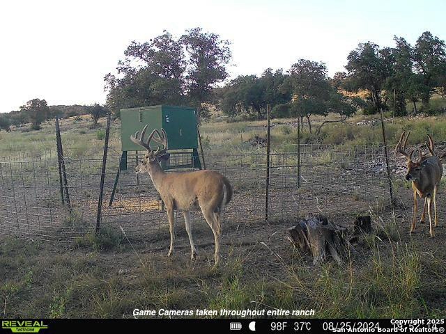 0000 Cr 140, Junction, Texas image 30